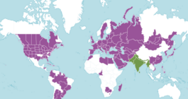 Fig: Distribution of Panicum miliaceum worldwide. Green: Native; purple: Introduced (Source: https://powo.science.kew.org/taxon/urn:lsid:ipni.org:names:412217-1)