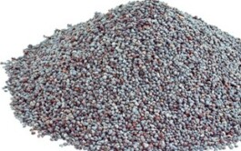 global-textbook-of-botany.com