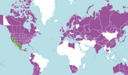 global-textbook-of-botany.com